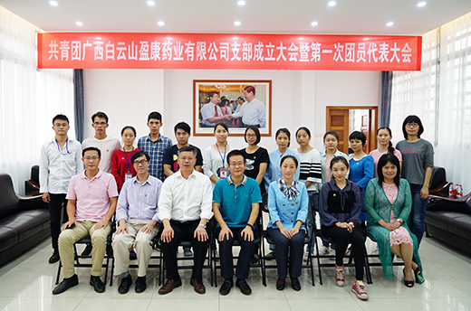 共青團白雲山盈康藥業第一(yī)次代表大會圓滿召開