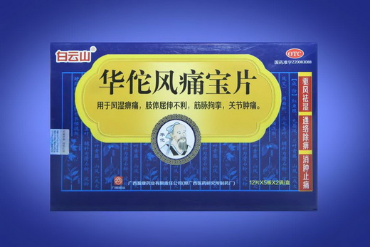 華佗風痛寶質量提升總結會在南甯召開